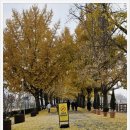 신정호국민관광지 대여소 이미지