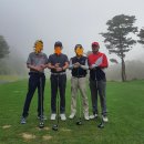 오션힐스청도골프클럽 이미지