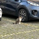 와우A오션뷰&수영장펜션 이미지