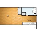 동양라디안루키 이미지