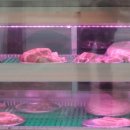 목구멍속초점 이미지