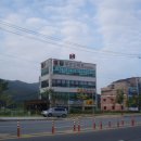 세인꽃집
