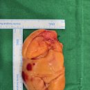 유의미외과의원 이미지