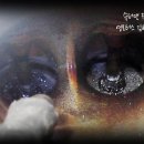 슈퍼맨크리닝 이미지