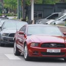 기호카써비스 이미지