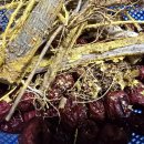 약산농장 이미지