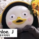 더꽃길참치 이미지