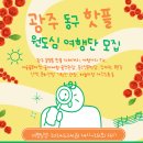 푸른나무사회적협동조합 이미지