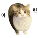 국민체육센터(강남체육관) 이미지