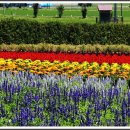 푸른농장2 이미지