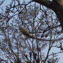 경산아지매 이미지