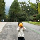 가족영화(보스베이비) | 10월 다산 다난한 한 달 근황 일기~