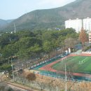 신흥동 해군아파트 앞 이미지