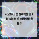 지오속눈썹