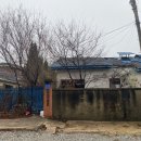 읍내12통(서문리) 이미지