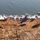 우정지하도 화장실 이미지