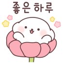 뷰안경 이미지