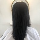 디포렛헤어 이미지