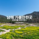 두모유채꽃메밀꽃단지