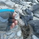 문혜리약국 이미지