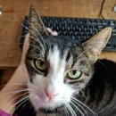 마리앤라인의원 이미지