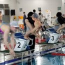 신안태권도체육관 이미지