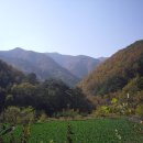 비손약국 이미지