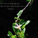 달빛커피 이미지