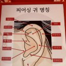 케찹피어싱