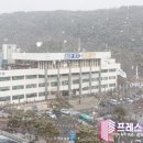 파발로 이미지