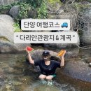 다리안 야영장 | 다리안관광지 계곡 폭포 애견동반 음식섭취 물놀이후기
