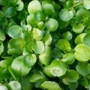 쩡이네보물창고 이미지