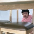 야옹아멍멍아밥먹자