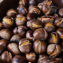 더조은농장 이미지