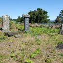 신효동-19 이미지