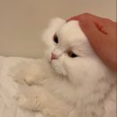 그냥 아무말,,,