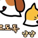 오도독수제간식 이미지