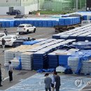 강릉유치원 이미지