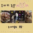 우아미족 이미지