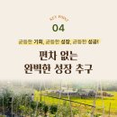 삼진A.D.P