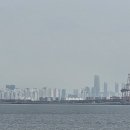 전망대식당 - 합천군 | 전망대식당