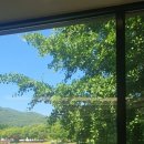 포레드노드 이미지