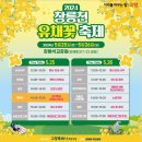 5.25~5.26 창릉천 유채꽃 축제 이미지