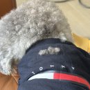 피자마루 아주점(피엠푸드 아주점) | 2025년 1월부터 6월까지 📝