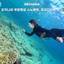 오키나와 푸른동굴 스노쿨링 프리다이빙 내돈내산 후기 준비물 꿀팁