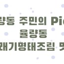 한양시래기명태조림춘천점 이미지