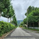 남해-196 이미지