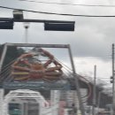 영덕신발 | [대흥호회대게] 영덕 강구항 근처 대게 가성비 맛집 후기 내돈내산