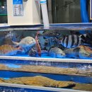 대천로뎀펜션 이미지