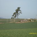 함평여관 이미지